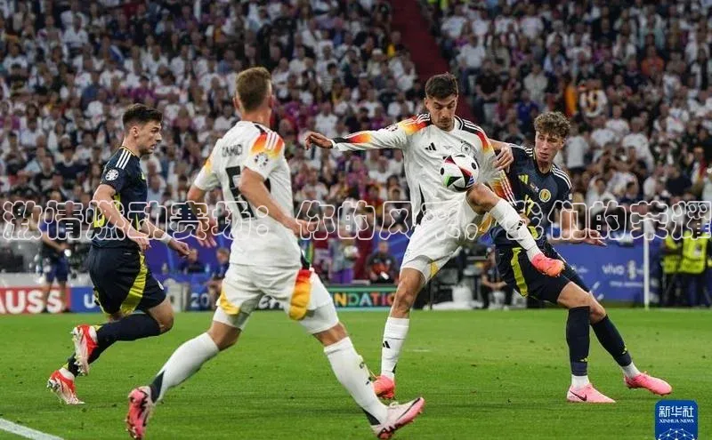 人生搏中国官网入口